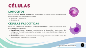 Espanhol (2)