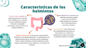 Espanhol (9)