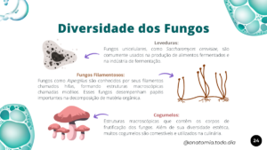 microbiologia (2)