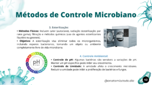 microbiologia (3)