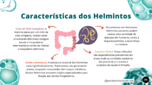 microbiologia (4)